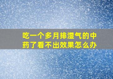 吃一个多月排湿气的中药了看不出效果怎么办