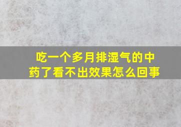 吃一个多月排湿气的中药了看不出效果怎么回事