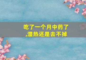 吃了一个月中药了,湿热还是去不掉