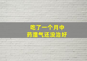 吃了一个月中药湿气还没治好