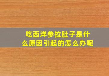 吃西洋参拉肚子是什么原因引起的怎么办呢