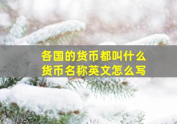 各国的货币都叫什么货币名称英文怎么写