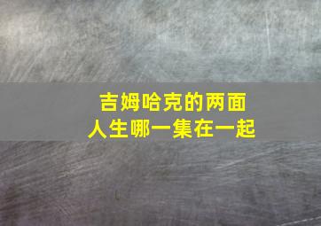 吉姆哈克的两面人生哪一集在一起