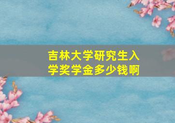 吉林大学研究生入学奖学金多少钱啊