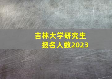 吉林大学研究生报名人数2023