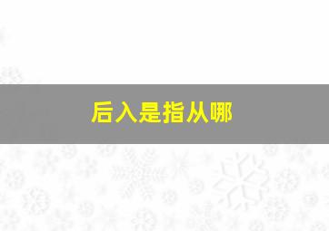 后入是指从哪