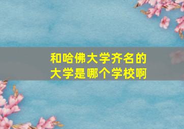 和哈佛大学齐名的大学是哪个学校啊