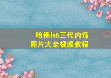 哈佛h6三代内饰图片大全视频教程