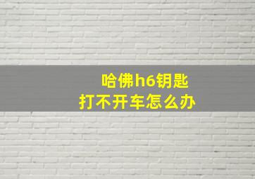 哈佛h6钥匙打不开车怎么办