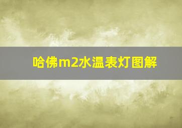 哈佛m2水温表灯图解