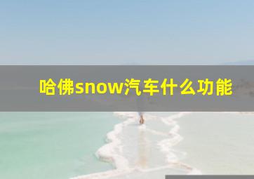 哈佛snow汽车什么功能