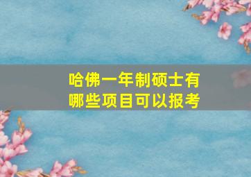 哈佛一年制硕士有哪些项目可以报考