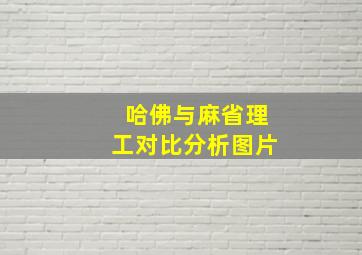 哈佛与麻省理工对比分析图片