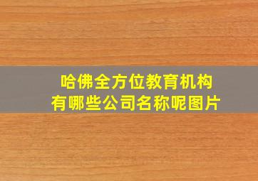 哈佛全方位教育机构有哪些公司名称呢图片