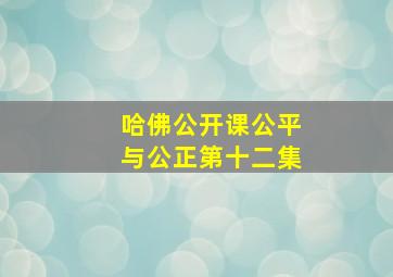 哈佛公开课公平与公正第十二集