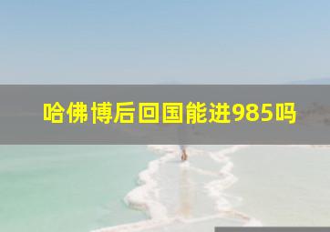 哈佛博后回国能进985吗