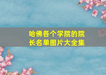 哈佛各个学院的院长名单图片大全集