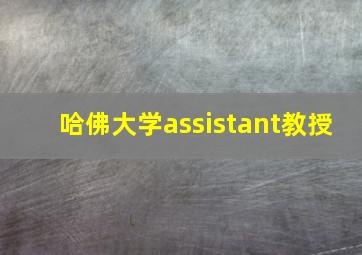 哈佛大学assistant教授