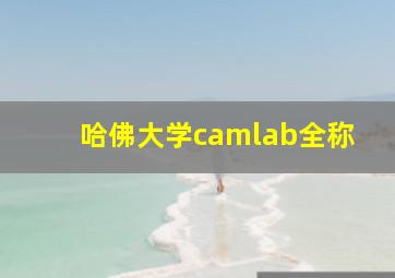 哈佛大学camlab全称