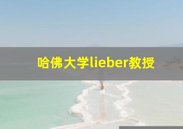 哈佛大学lieber教授