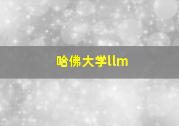 哈佛大学llm