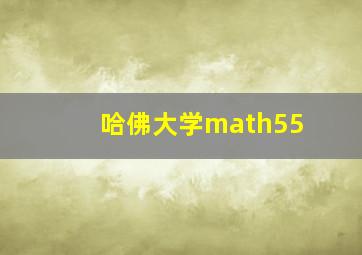 哈佛大学math55