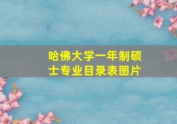 哈佛大学一年制硕士专业目录表图片