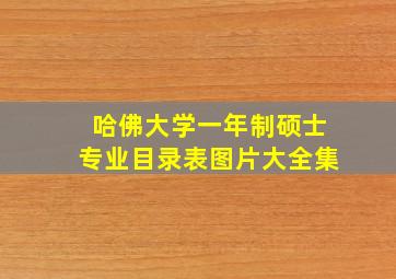 哈佛大学一年制硕士专业目录表图片大全集