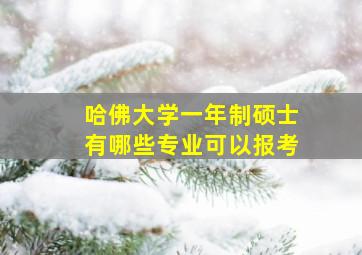 哈佛大学一年制硕士有哪些专业可以报考