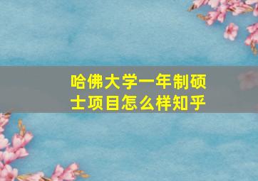 哈佛大学一年制硕士项目怎么样知乎