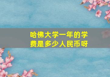 哈佛大学一年的学费是多少人民币呀