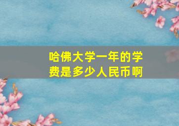 哈佛大学一年的学费是多少人民币啊