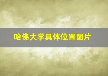 哈佛大学具体位置图片