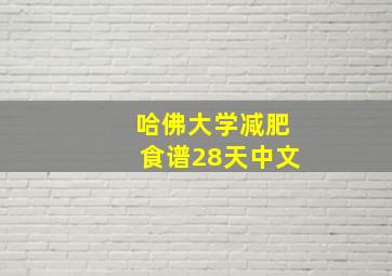 哈佛大学减肥食谱28天中文