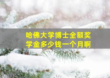 哈佛大学博士全额奖学金多少钱一个月啊