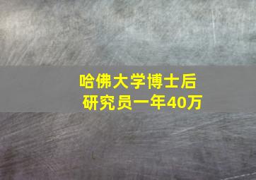 哈佛大学博士后研究员一年40万