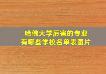 哈佛大学厉害的专业有哪些学校名单表图片