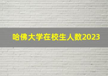 哈佛大学在校生人数2023