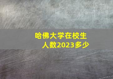 哈佛大学在校生人数2023多少