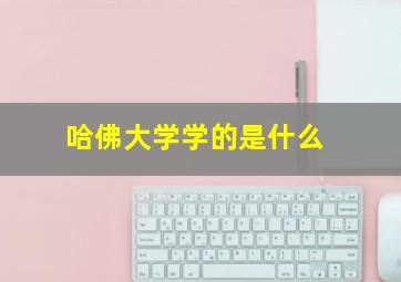 哈佛大学学的是什么