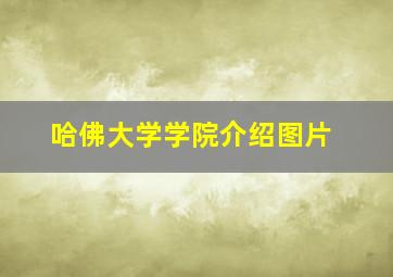 哈佛大学学院介绍图片