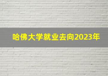 哈佛大学就业去向2023年