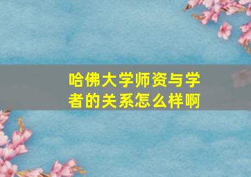 哈佛大学师资与学者的关系怎么样啊