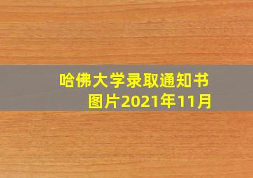 哈佛大学录取通知书图片2021年11月