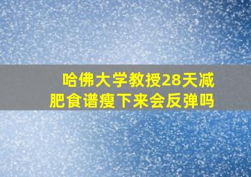 哈佛大学教授28天减肥食谱瘦下来会反弹吗