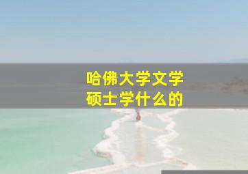 哈佛大学文学硕士学什么的