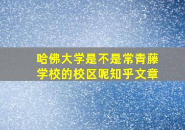 哈佛大学是不是常青藤学校的校区呢知乎文章