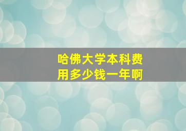 哈佛大学本科费用多少钱一年啊