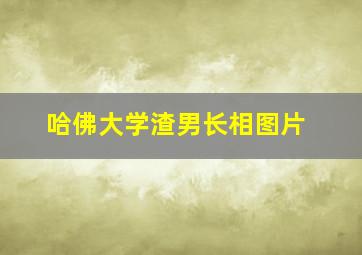 哈佛大学渣男长相图片