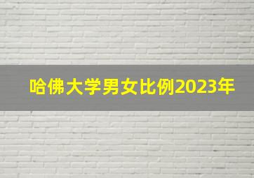 哈佛大学男女比例2023年